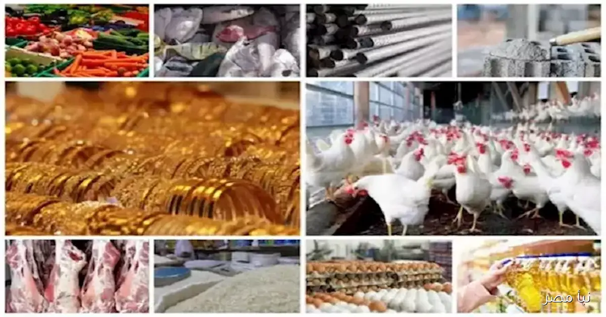 تحديث أسعار اليوم.. انخفاض البيض والدواجن مع استمرار ارتفاع الذهب